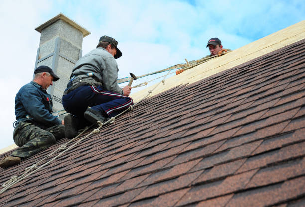 Quick and Trustworthy Emergency Roof Repair Services in Cane Savannah, SC